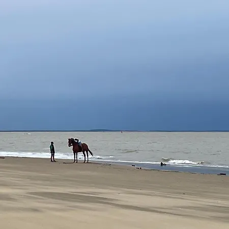 Superb Mobilhome Ba302 - 3 Bedrooms Siblu Bonne Anse La Palmyre Prázdninový dům Les Mathes