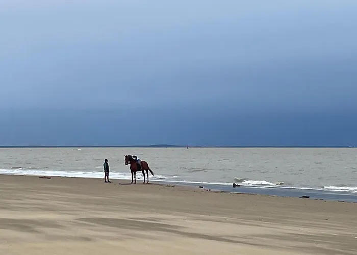 Superb Mobilhome Ba302 - 3 Bedrooms Siblu Bonne Anse La Palmyre Holiday home Les Mathes