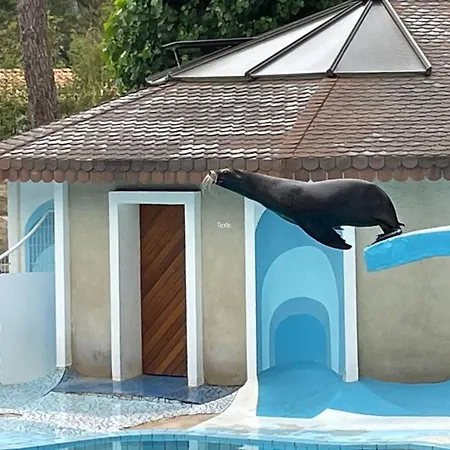 Superb Mobilhome Ba302 - 3 Bedrooms Siblu Bonne Anse La Palmyre * 레 마트