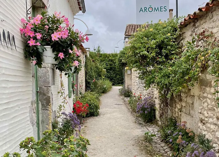 Superb Mobilhome Ba302 - 3 Bedrooms Siblu Bonne Anse La Palmyre * Les Mathes