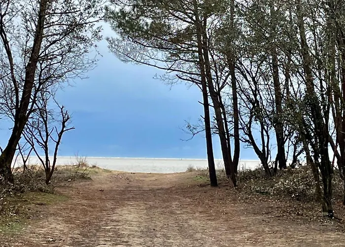 Superb Mobilhome Ba302 - 3 Bedrooms Siblu Bonne Anse La Palmyre Σπίτι διακοπών Les Mathes